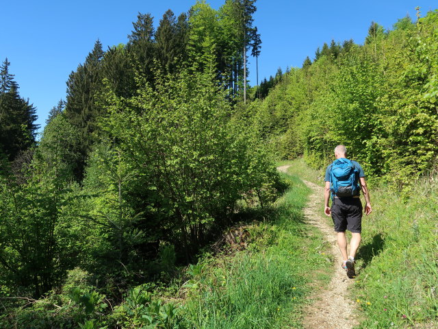 Frank zwischen Brückelstube und Aussichtsplattform Hollerberg