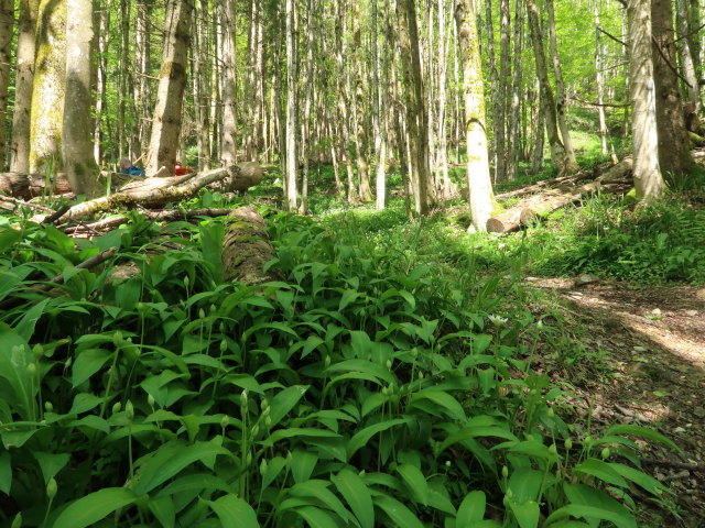Frank und Melanie zwischen Brückelstube und Aussichtsplattform Hollerberg
