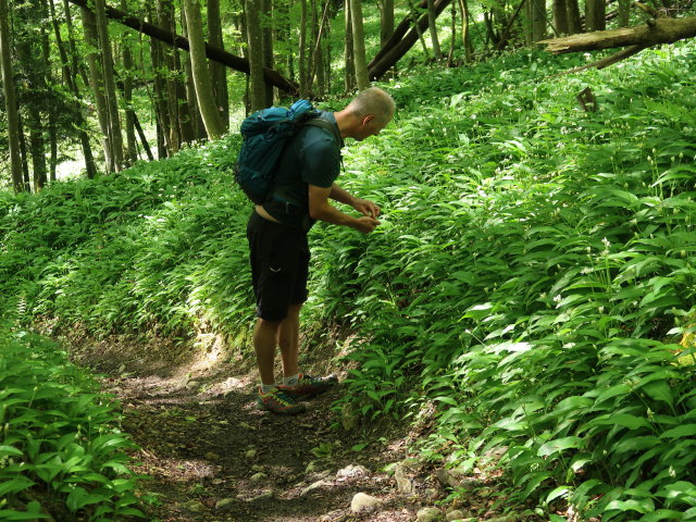 Frank zwischen Brückelstube und Aussichtsplattform Hollerberg