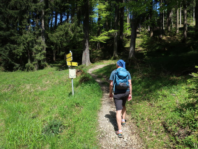 Frank zwischen Aussichtsplattform Hollerberg und Hochplettspitz