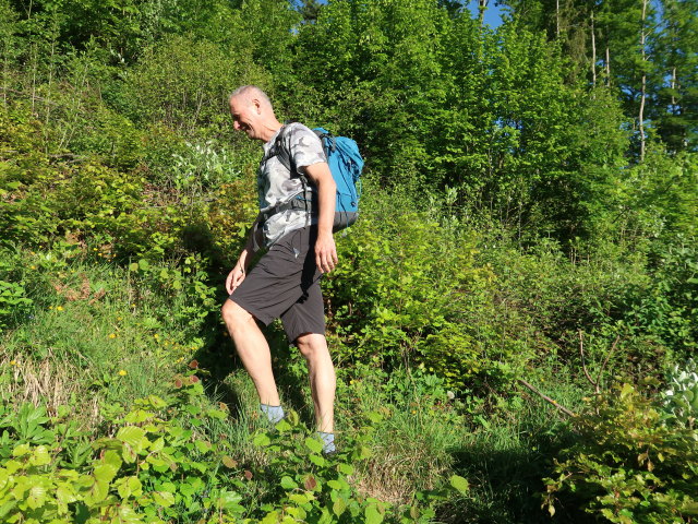 Frank zwischen Strobl und Brustwand