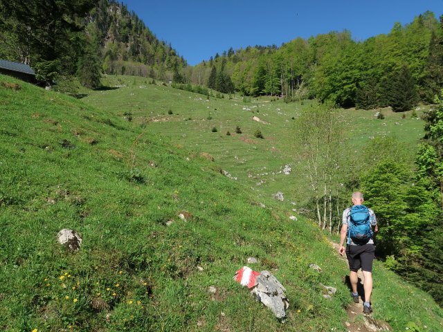Frank zwischen Brustwand und Dürntalalm