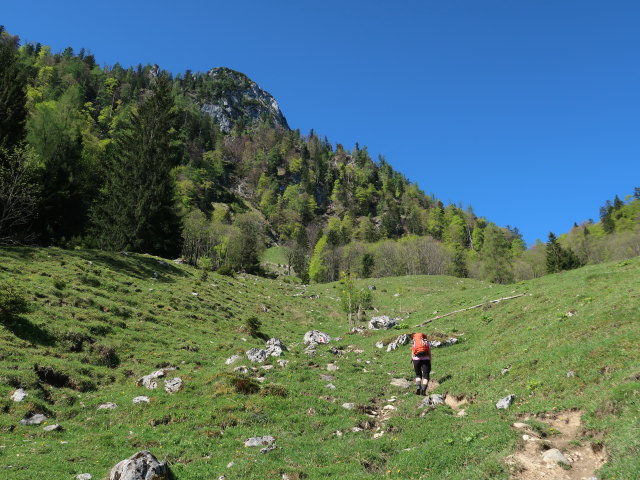 Melanie zwischen Dürntalalm und Sparber