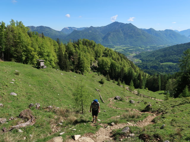 Frank zwischen Dürntalalm und Sparber