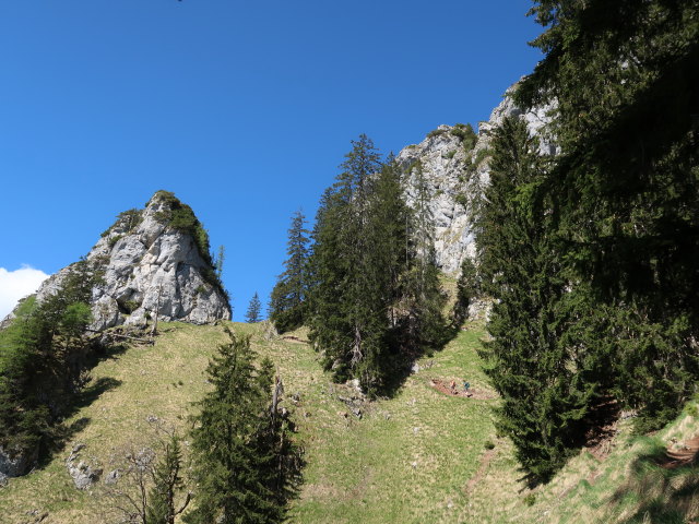 zwischen Dürntalalm und Sparber