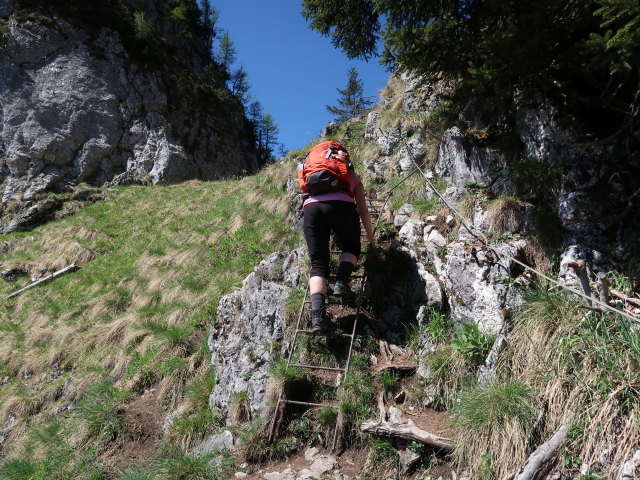 Melanie zwischen Dürntalalm und Sparber