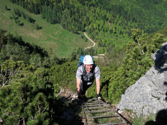 Frank zwischen Dürntalalm und Sparber