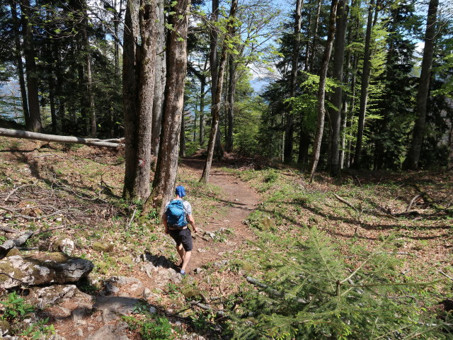 Frank zwischen Sparber und Dürntalalm