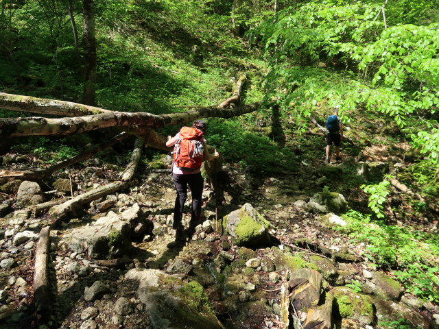 Melanie und Frank zwischen Dürntalalm und Gasthof Kleefeld
