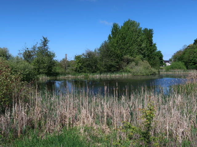 Oplevelsescenter Nyvang in Holbæk (17. Mai)