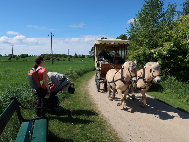 Sabine und Nils im Oplevelsescenter Nyvang in Holbæk (17. Mai)