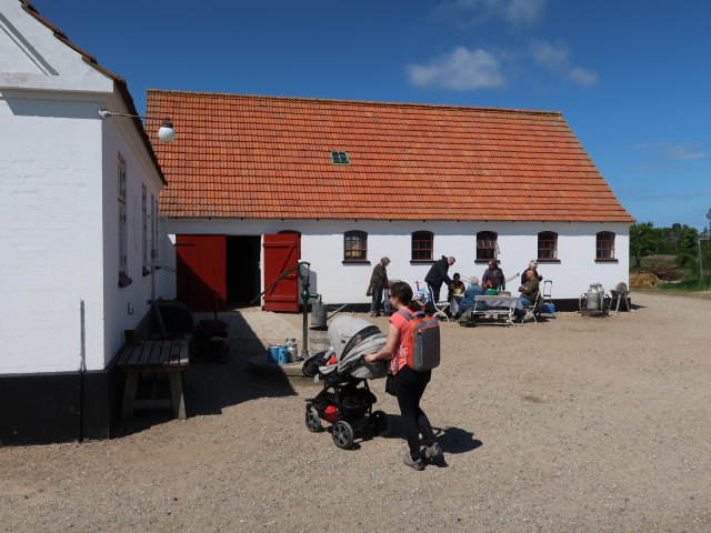 Nils und Sabine im Oplevelsescenter Nyvang in Holbæk (17. Mai)
