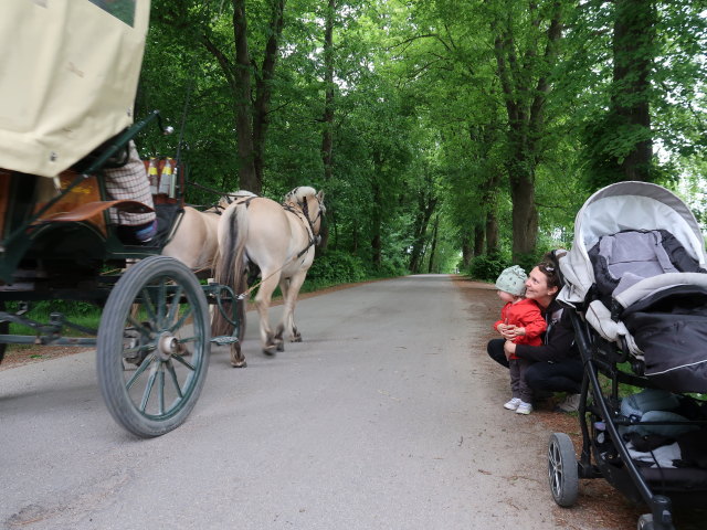 Nils und Sabine im Oplevelsescenter Nyvang in Holbæk (17. Mai)
