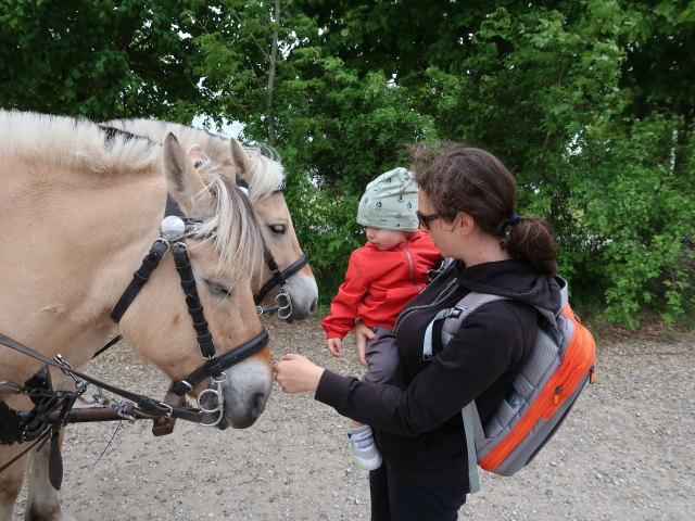 Nils und Sabine im Oplevelsescenter Nyvang in Holbæk (17. Mai)