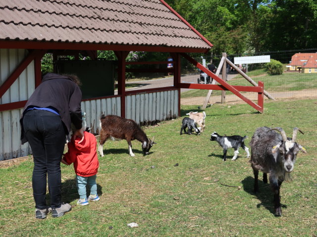 Sabine und Nils im Sommerland Sjælland in Nørre Asmindrup (18. Mai)