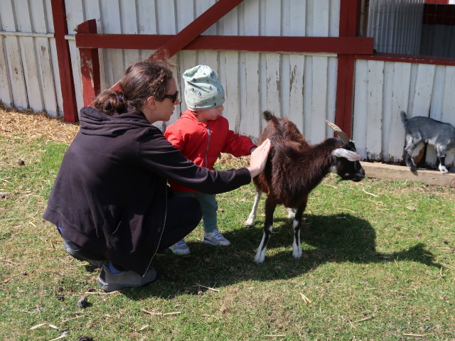 Sabine und Nils im Sommerland Sjælland in Nørre Asmindrup (18. Mai)