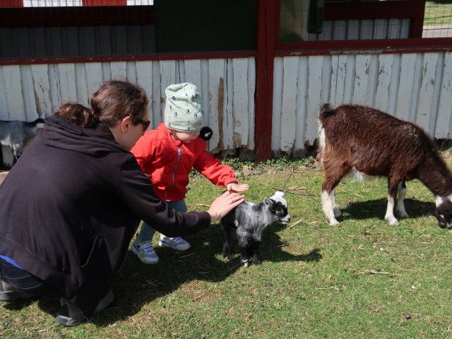 Sabine und Nils im Sommerland Sjælland in Nørre Asmindrup (18. Mai)