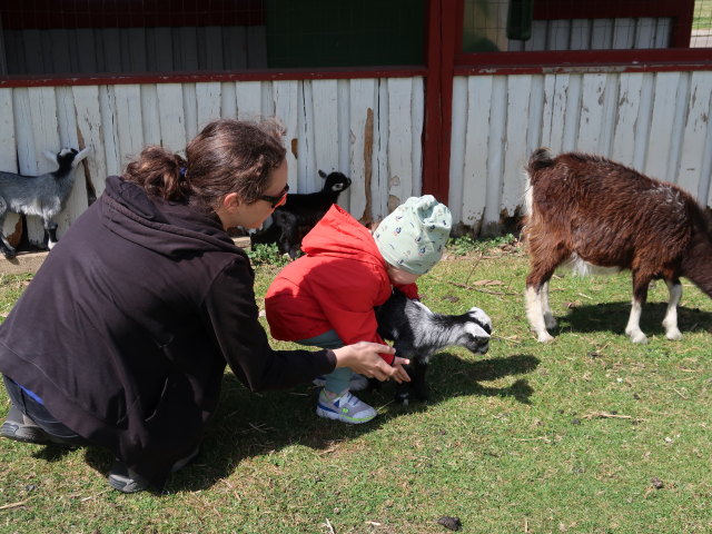 Sabine und Nils im Sommerland Sjælland in Nørre Asmindrup (18. Mai)