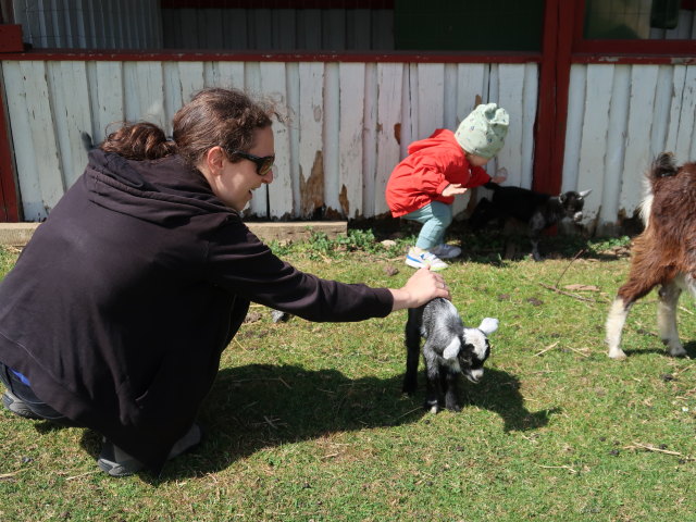 Sabine und Nils im Sommerland Sjælland in Nørre Asmindrup (18. Mai)