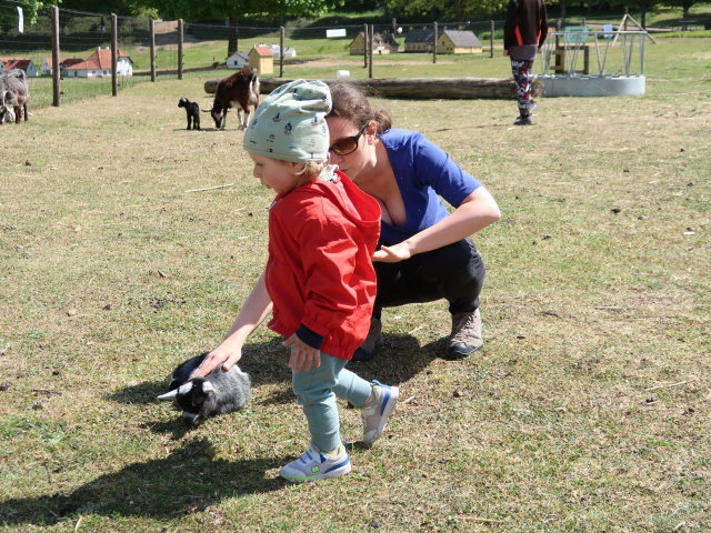 Nils und Sabine im Sommerland Sjælland in Nørre Asmindrup (18. Mai)
