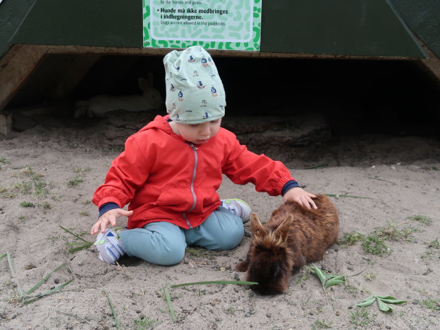 Nils im Sommerland Sjælland in Nørre Asmindrup (18. Mai)