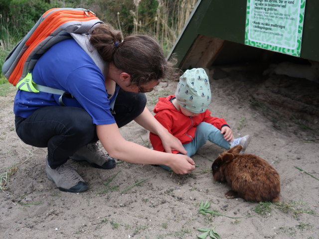 Sabine und Nils im Sommerland Sjælland in Nørre Asmindrup (18. Mai)