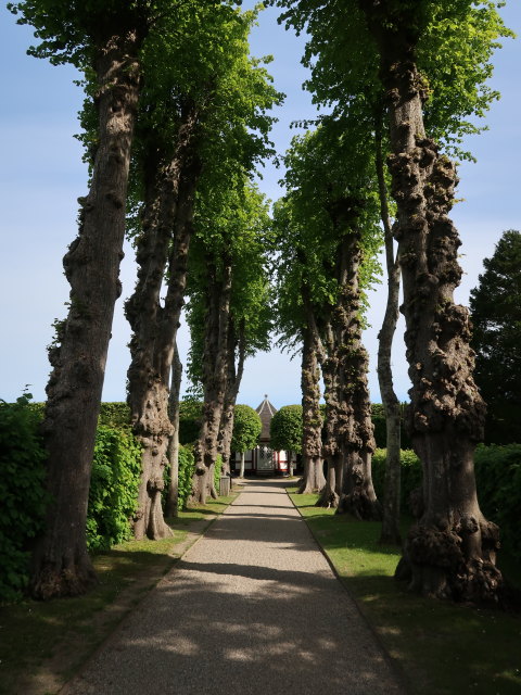Egeskov Haven in Kværndrup (19. Mai)