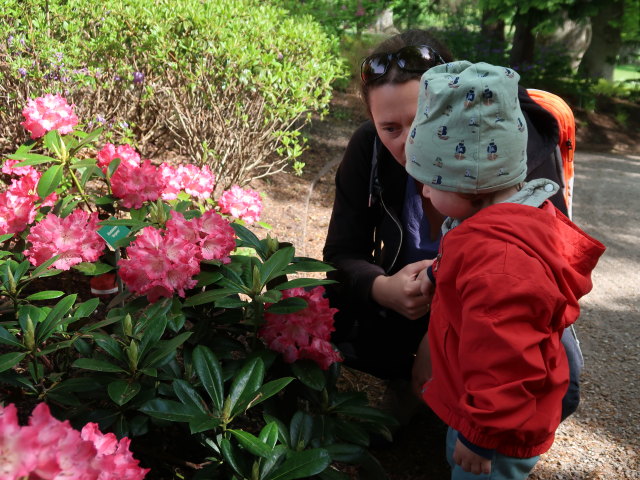 Sabine und Nils im Egeskov Haven in Kværndrup (19. Mai)
