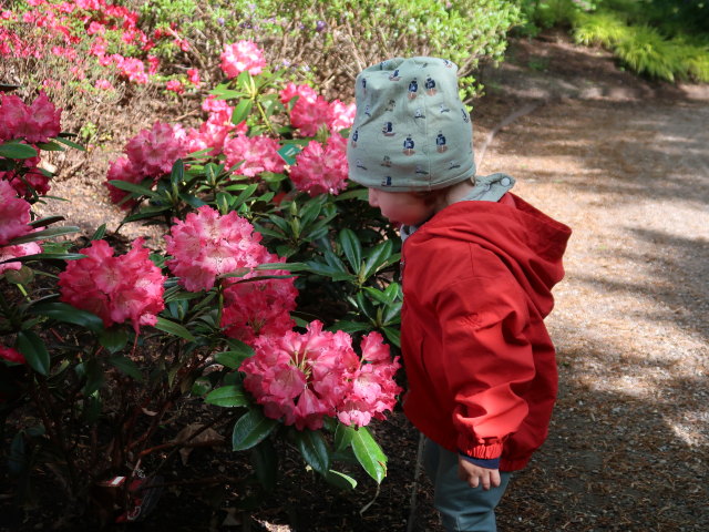 Nils im Egeskov Haven in Kværndrup (19. Mai)