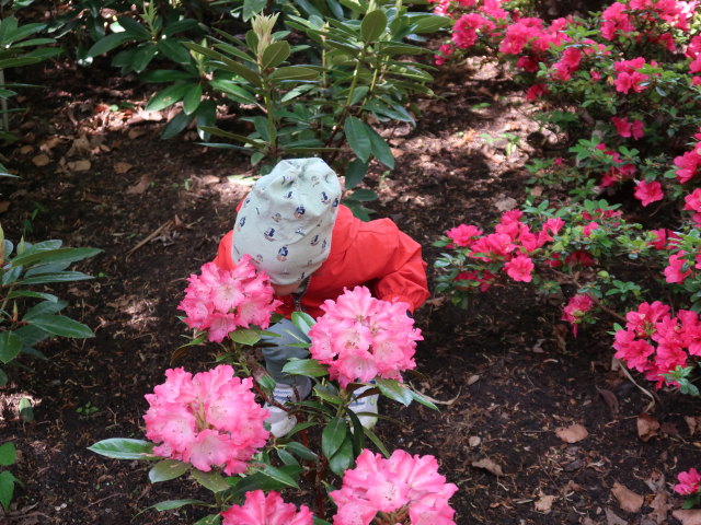 Nils im Egeskov Haven in Kværndrup (19. Mai)
