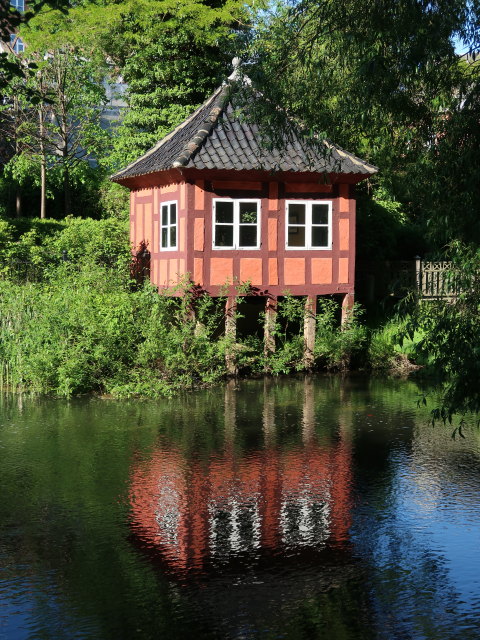 Odense Å in Odense (19. Mai)