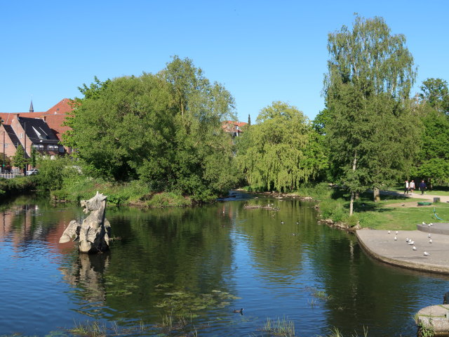 Odense Å in Odense (19. Mai)