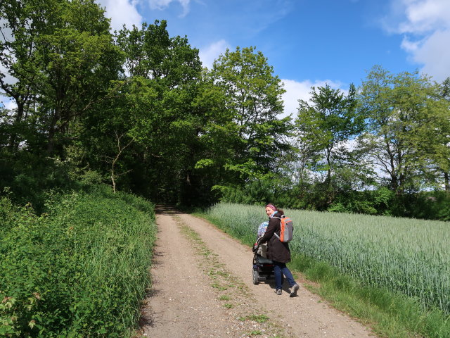 Sabine in Mønsted (22. Mai)
