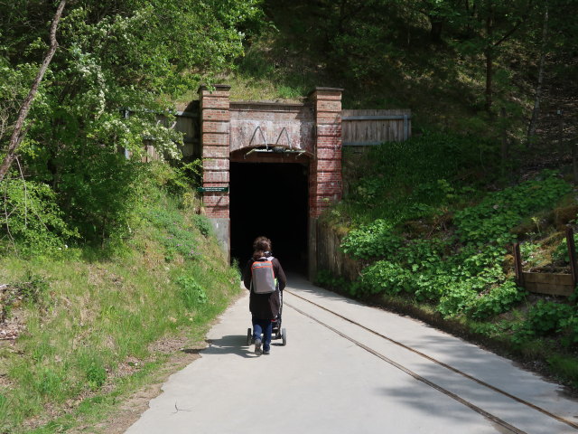 Sabine in Mønsted Kalkgruber in Stoholm (22. Mai)