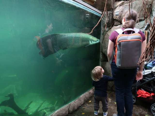 Nils und Sabine in Südamerika in Randers Regnskov (23. Mai)