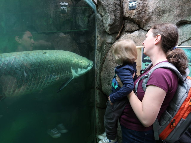 Nils und Sabine in Südamerika in Randers Regnskov (23. Mai)
