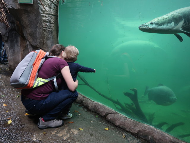 Sabine und Nils in Südamerika in Randers Regnskov (23. Mai)