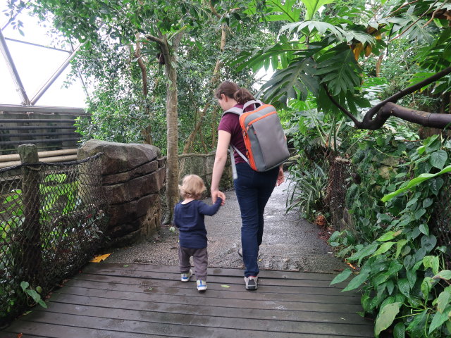 Nils und Sabine in Südamerika in Randers Regnskov (23. Mai)