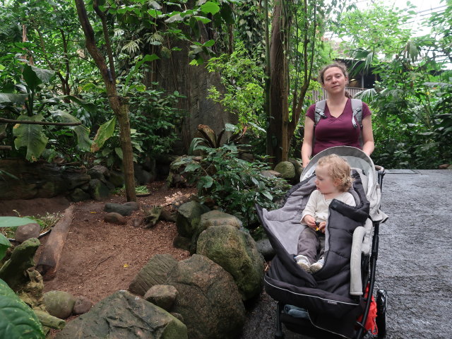 Nils und Sabine in Südamerika in Randers Regnskov (23. Mai)
