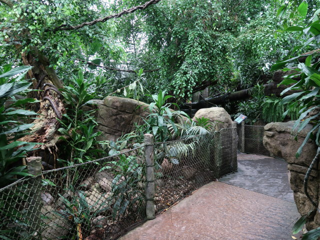 Südamerika in Randers Regnskov (23. Mai)