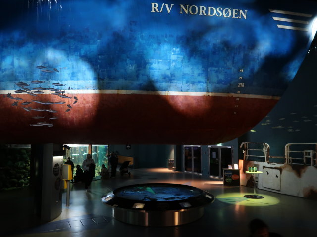 Nordsøen Oceanarium in Hirtshals (25. Mai)