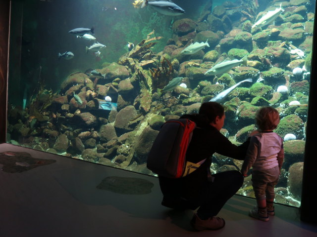 Sabine und Nils im Nordsøen Oceanarium in Hirtshals (25. Mai)