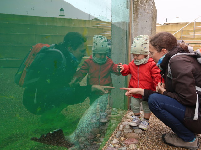 Nils und Sabine beim Robbenbecken im Nordsøen Oceanarium in Hirtshals (25. Mai)