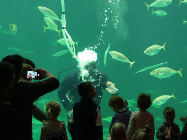 Nordsøen Oceanarium in Hirtshals (25. Mai)