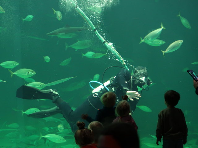 Nordsøen Oceanarium in Hirtshals (25. Mai)