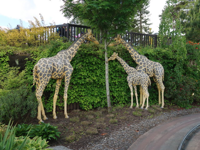 LEGO Safari im Legoland Billund Resort (26. Mai)