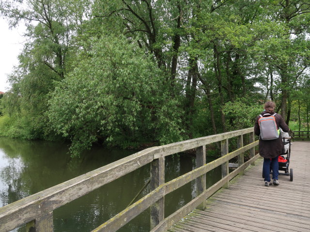 Sabine bei der Ribe Å in Ribe (28. Mai)