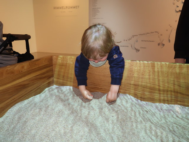 Nils im Vadehavscentret in Ribe (28. Mai)