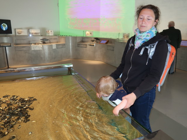 Nils und Sabine im Vadehavscentret in Ribe (28. Mai)