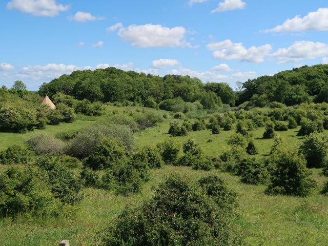 Sagnlandet Lejre (29. Mai)